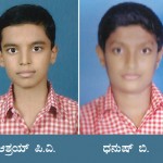 ವಿಜ್ಞಾನ ಮಾದರಿ ಪ್ರದರ್ಶನ - ದ್ವಿತೀಯ