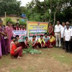 ಕೋಟಿವೃಕ್ಷ ಆಂದೋಲನ - ಅರಿಯಡ್ಕ ಗ್ರಾಮ ಪಂಚಾಯತ್