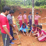 ಕೆದಿಲ ಗ್ರಾಮದಲ್ಲಿ ವೃಕ್ಷಾರೋಪಣ